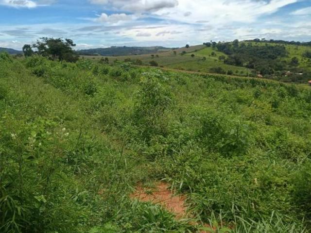 Fazenda / Sítios / Chácaras à venda em Passa Tempo, no bairro Zona Rural