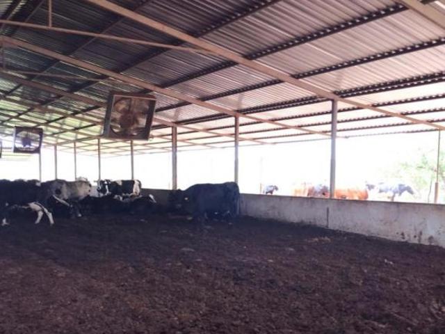 Fazenda / Sítios / Chácaras à venda em Pará De Minas, no bairro Área Rural De Pará De Minas