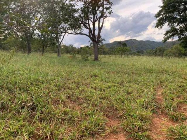 Fazenda / Sítios / Chácaras à venda em Paracatu, no bairro Área Rural De Paracatu