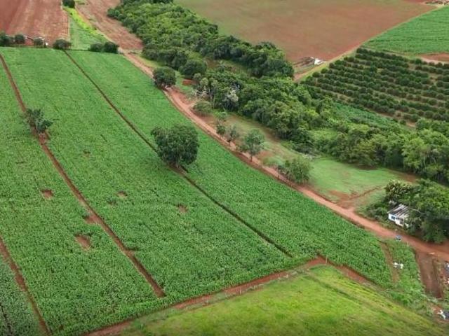 Fazenda / Sítios / Chácaras à venda em Paraguaçu, no bairro Zona Rural
