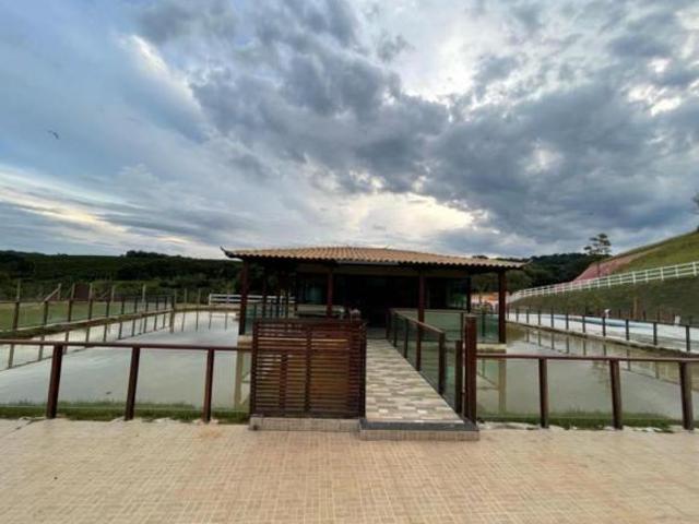 Fazenda / Sítios / Chácaras à venda em Piedade Dos Gerais, no bairro Área Rural