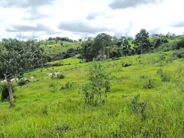 Fazenda / Sítios / Chácaras à venda em Piracema, no bairro Zona Rural