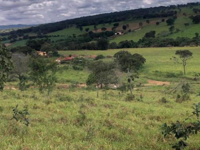 Fazenda / Sítios / Chácaras à venda em Pitangui, no bairro Zona Rural