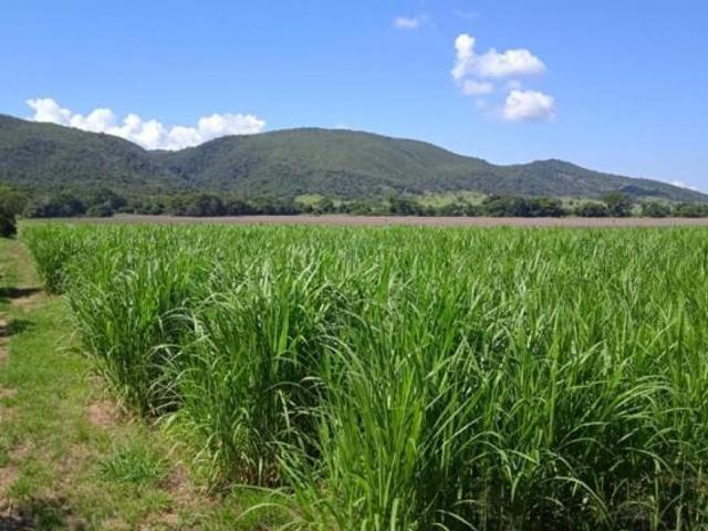 Fazenda / Sítios / Chácaras à venda em Pitangui, no bairro Zona Rural