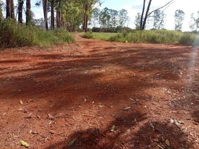 Fazenda / Sítios / Chácaras à venda em Piumhi, no bairro Nova Esperança