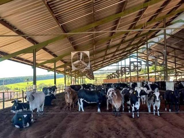 Fazenda / Sítios / Chácaras à venda em Pompéu, no bairro Zona Rural