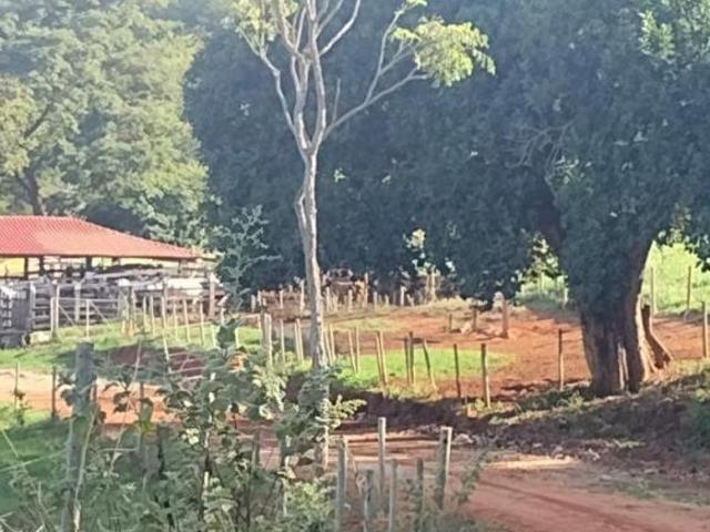 Fazenda / Sítios / Chácaras à venda em Resplendor, no bairro Zona Rural
