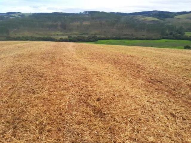 Fazenda / Sítios / Chácaras à venda em São Vicente De Minas, no bairro Zona Rural