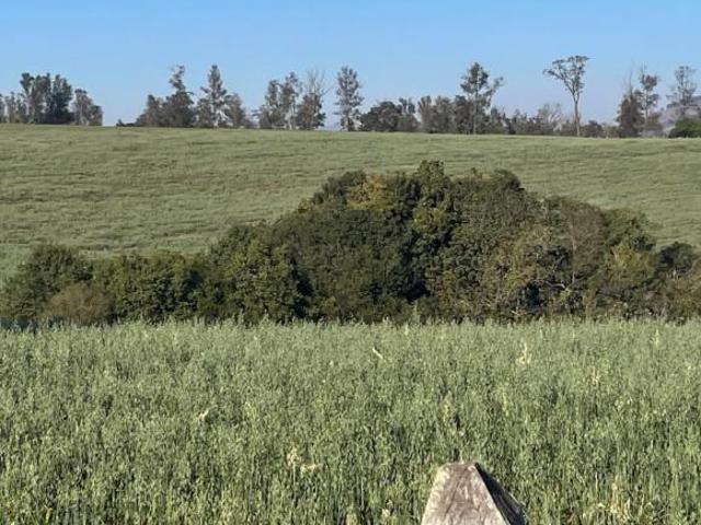 Fazenda / Sítios / Chácaras à venda em Santa Rita Do Sapucaí, no bairro Área Rural De Santa Rita Do