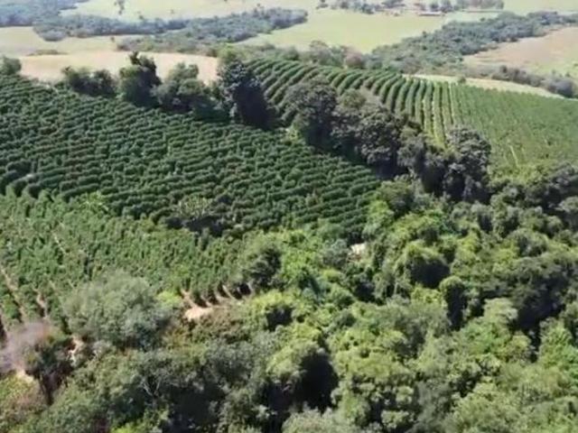 Fazenda / Sítios / Chácaras à venda em Santana Da Vargem, no bairro Zona Rural
