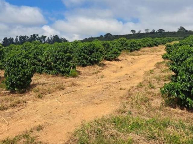 Fazenda / Sítios / Chácaras à venda em Santana Da Vargem, no bairro Zona Rural
