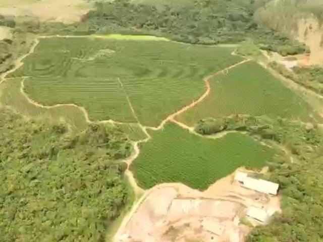 Fazenda / Sítios / Chácaras à venda em Santo Antônio Do Amparo, no bairro Zona Rural