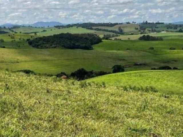 Fazenda / Sítios / Chácaras à venda em Silvianópolis, no bairro Zona Rural