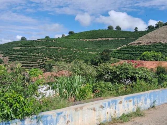 Fazenda / Sítios / Chácaras à venda em Soledade De Minas, no bairro Zona Rural
