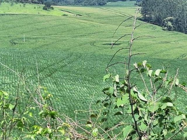Fazenda / Sítios / Chácaras à venda em Turvolândia, no bairro Zona Rural 1