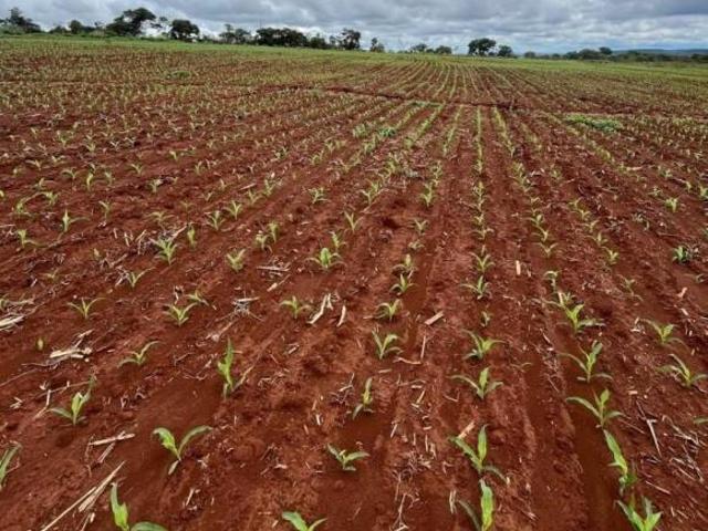 Fazenda / Sítios / Chácaras à venda em Tiros, no bairro Zona Rural
