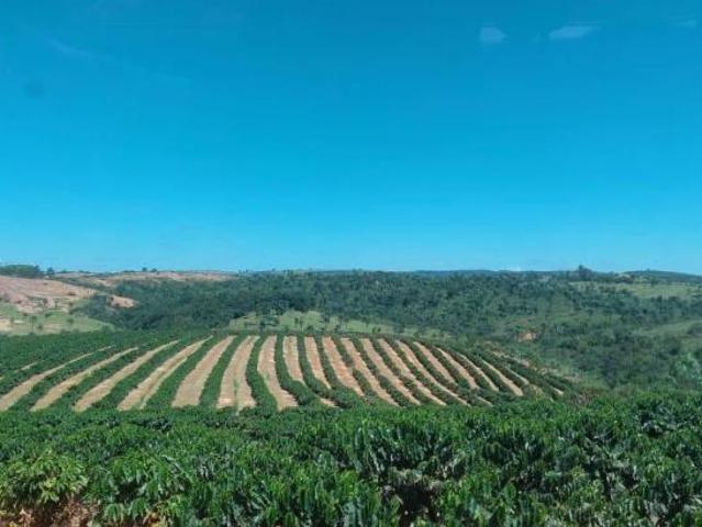 Fazenda / Sítios / Chácaras à venda em Tiros, no bairro Zona Rural