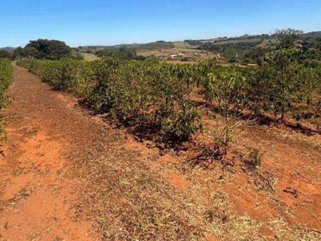 Fazenda / Sítios / Chácaras à venda em Varginha, no bairro Área Rural De Varginha