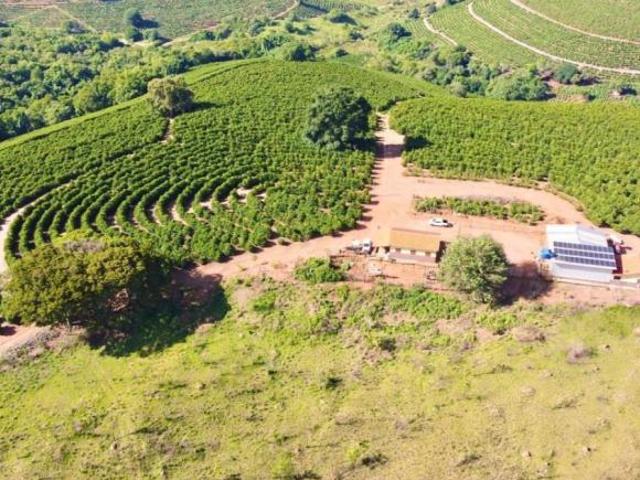 Fazenda / Sítios / Chácaras à venda em Varginha, no bairro Centro