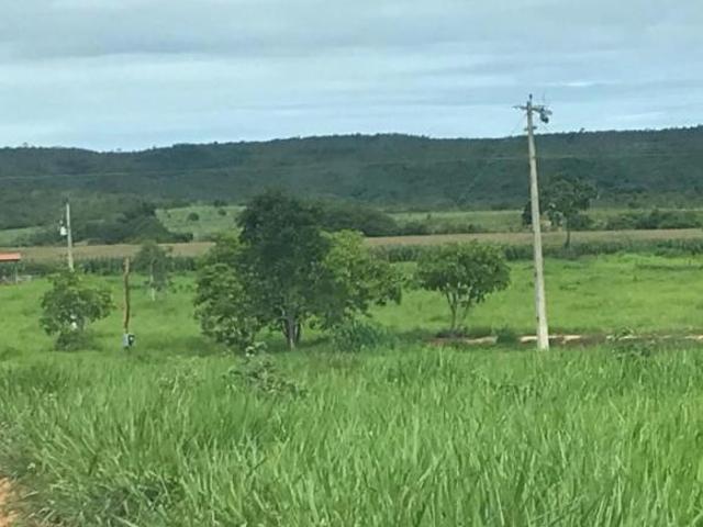 Fazenda / Sítios / Chácaras à venda em Várzea Da Palma, no bairro Área Rural