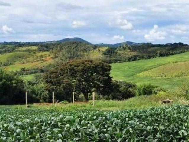 Fazenda / Sítios / Chácaras com 3 quartos à venda em Conceição Do Rio Verde, no bairro Zona Rural
