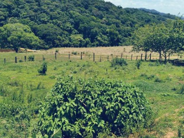 Fazenda / Sítios / Chácaras com 3 quartos à venda em Conceição Do Rio Verde, no bairro Zona Rural