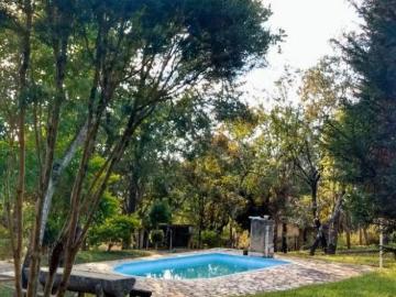 Nova Contagem, Minas Gerais - Piscina, Churrasqueira