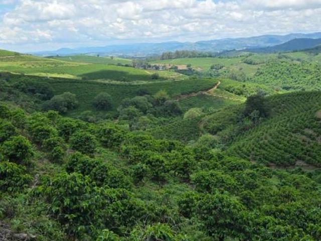 Fazenda / Sítios / Chácaras com 3 quartos à venda em Caconde, no bairro Zona Rural