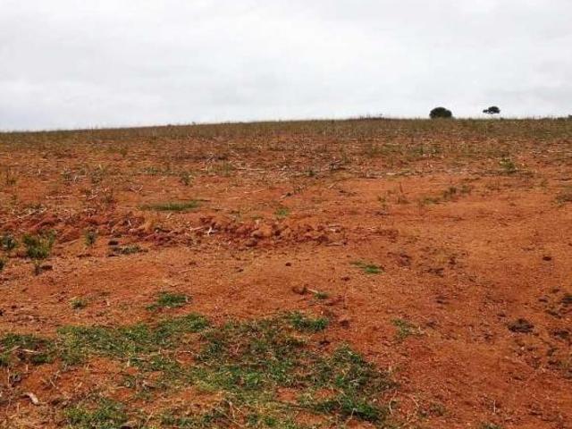 Fazenda / Sítios / Chácaras com 3 quartos à venda em Caldas, no bairro Zona Rural