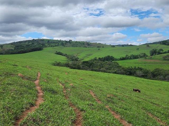 Fazenda / Sítios / Chácaras com 3 quartos à venda em Campanha, no bairro Centro