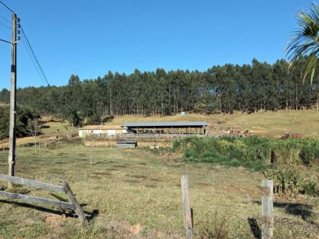 Fazenda / Sítios / Chácaras com 3 quartos à venda em Carvalhos, no bairro Centro