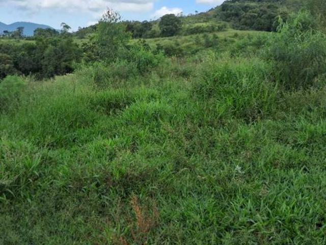 Fazenda / Sítios / Chácaras com 3 quartos à venda em Andradas, no bairro Zona Rural