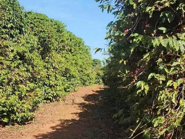 Fazenda / Sítios / Chácaras com 3 quartos à venda em Aguanil, no bairro Zona Rural