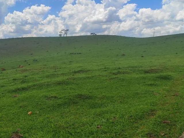 Fazenda / Sítios / Chácaras com 3 quartos à venda em Aiuruoca, no bairro Centro