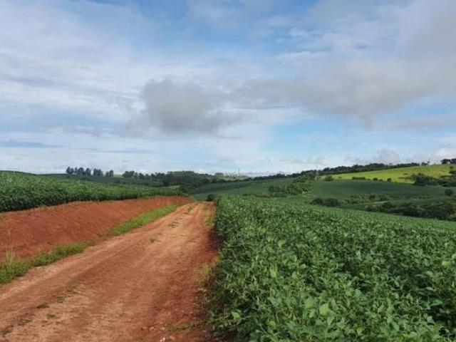 Fazenda / Sítios / Chácaras com 3 quartos à venda em Alfenas, no bairro Zona Rural