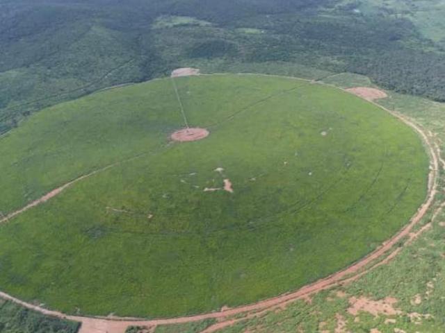 Fazenda / Sítios / Chácaras com 3 quartos à venda em Araçuaí, no bairro Zona Rural
