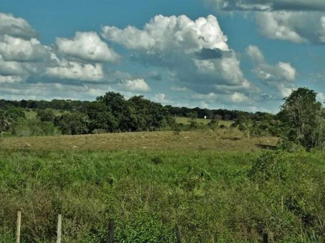 Fazenda / Sítios / Chácaras com 3 quartos à venda em Bom Despacho, no bairro Zona Rural