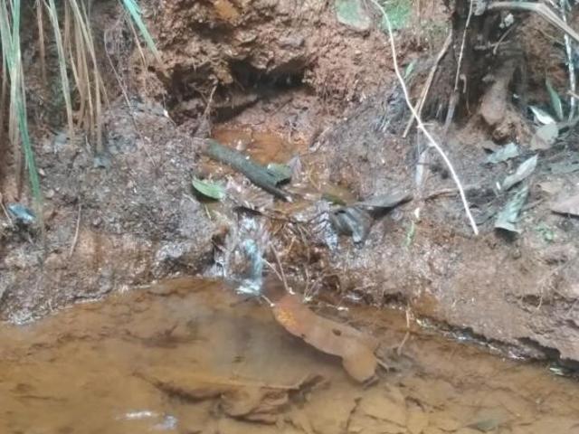 Fazenda / Sítios / Chácaras com 3 quartos à venda em Barão De Cocais, no bairro Zona Rural