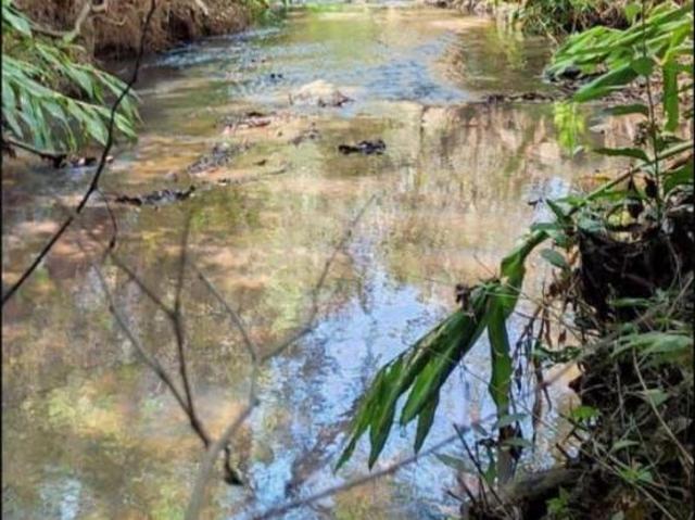 Fazenda / Sítios / Chácaras com 3 quartos à venda em Desterro De Entre Rios, no bairro Pereirinhas