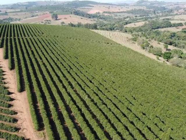 Fazenda / Sítios / Chácaras com 3 quartos à venda em Elói Mendes, no bairro Zona Rural