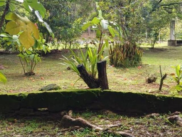 Fazenda / Sítios / Chácaras com 3 quartos à venda em Esmeraldas, no bairro Bambus