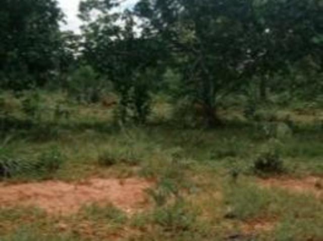Fazenda / Sítios / Chácaras com 3 quartos à venda em Formoso, no bairro Zona Rural