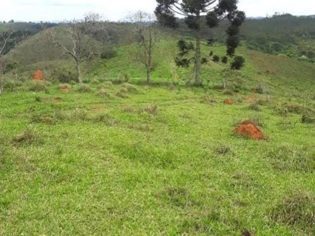 Fazenda / Sítios / Chácaras com 3 quartos à venda em Ibertioga, no bairro Zona Rural