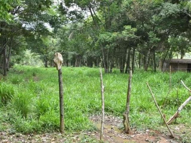 Fazenda / Sítios / Chácaras com 3 quartos à venda em Itaguara, no bairro Centro