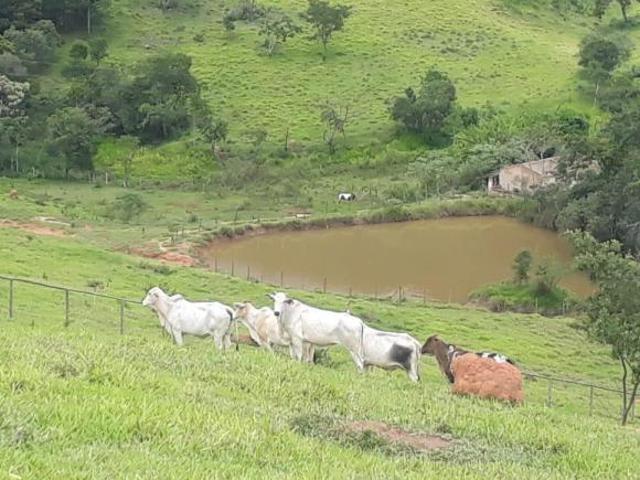 Fazenda / Sítios / Chácaras com 3 quartos à venda em Itatiaiuçu, no bairro Zona Rural