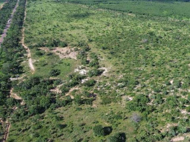 Fazenda / Sítios / Chácaras com 3 quartos à venda em João Pinheiro, no bairro Zona Rural