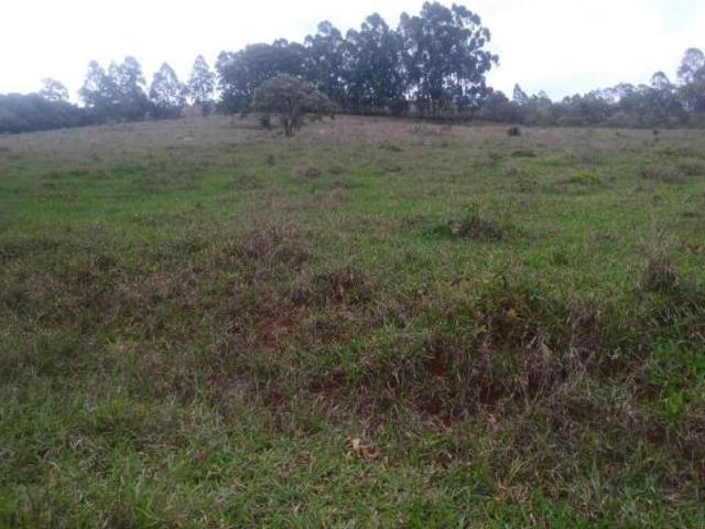 Fazenda / Sítios / Chácaras com 3 quartos à venda em Oliveira, no bairro Zona Rural