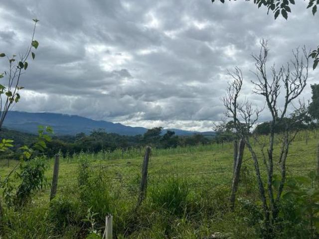 Fazenda / Sítios / Chácaras com 3 quartos à venda em Ouro Preto, no bairro Soares