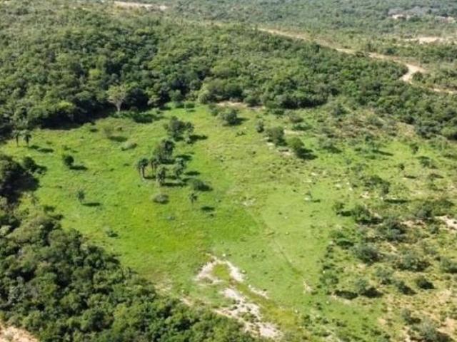 Fazenda / Sítios / Chácaras com 3 quartos à venda em Morada Nova De Minas, no bairro Zona Rural
