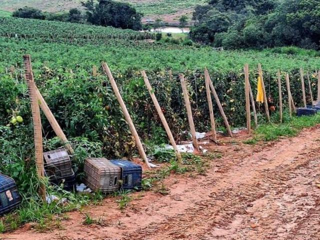 Fazenda / Sítios / Chácaras com 3 quartos à venda em Machado, no bairro Zona Rural